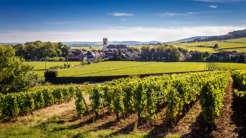 Beaune